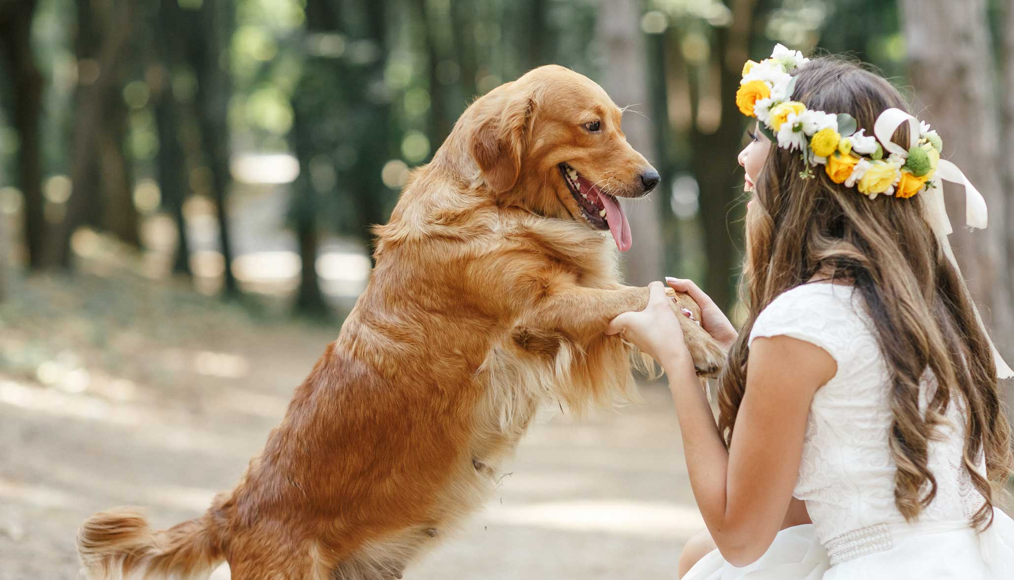dog_and_girl-wedding_favours-ispca